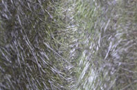 Upper Hyde fibreglass roof work